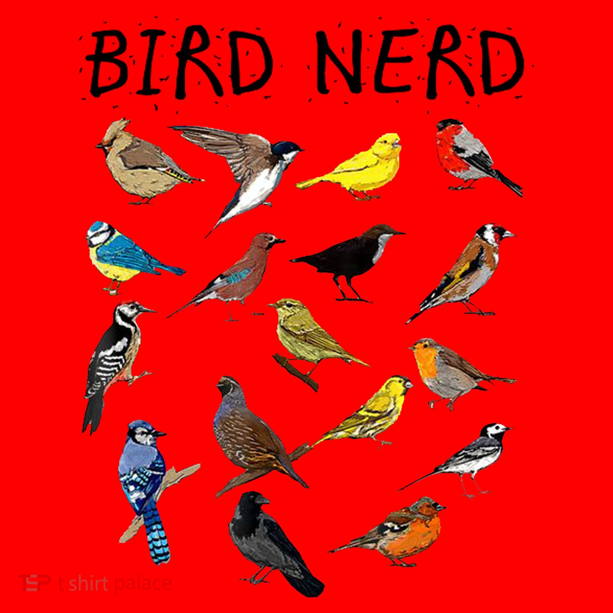Bird Nerd Santa Hat