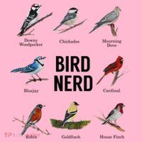 Bird Nerd Bird Lover Or Watcher Gift Coaster thumb 2