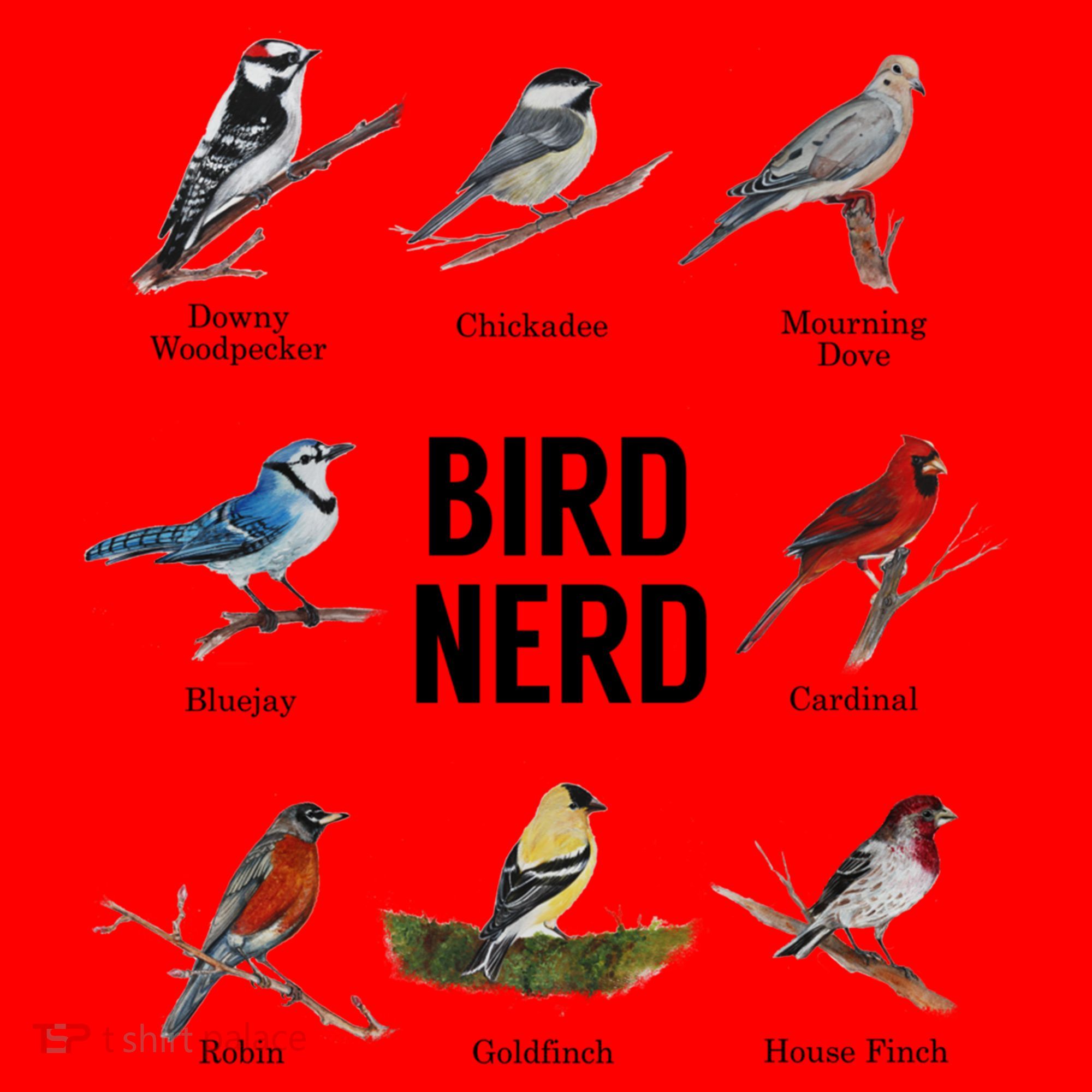 Bird Nerd Bird Lover Or Watcher Gift Santa Hat