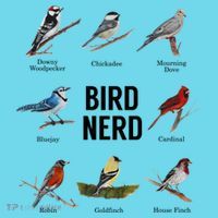 Bird Nerd Bird Lover Or Watcher Gift Long Sleeve Shirt thumb 2