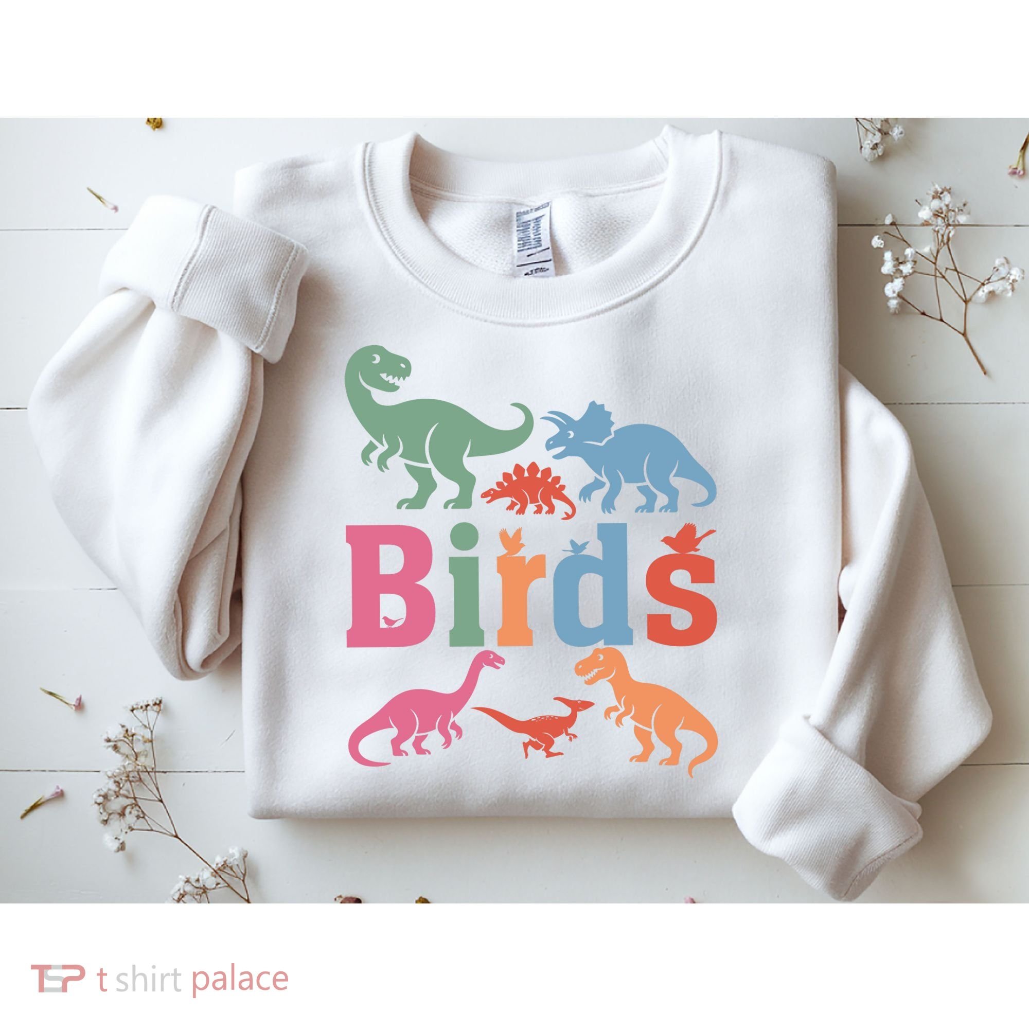 Birds? Nah… Dinosaurs Funny Dino Sweatshirt