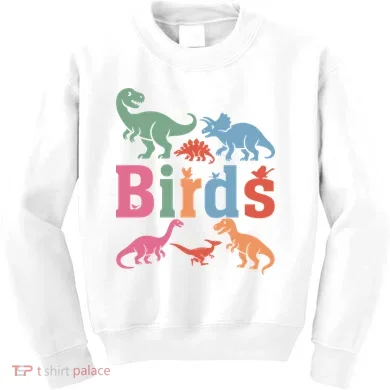 Birds? Nah… Dinosaurs Funny Dino Kids Sweatshirt
