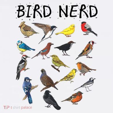 Bird Nerd Different Kinds Of Bird Gift Cute Bird Gift Urban Oversized Heavyweight T-Shirt
