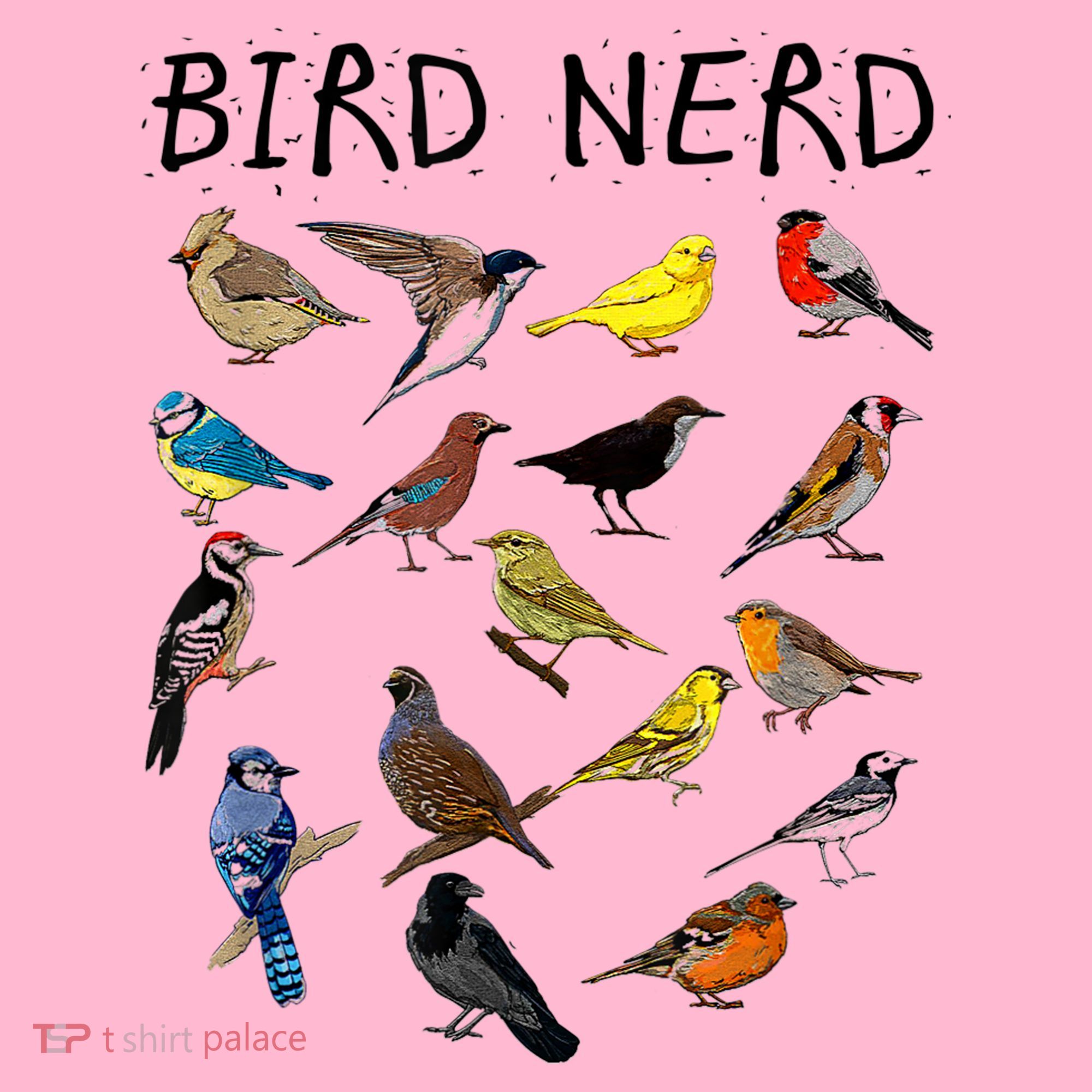 'Bird Nerd Different Kinds Of Bird' Gift Cute Bird Gift Coaster