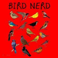 'Bird Nerd Different Kinds Of Bird' Gift Cute Bird Gift Santa Hat thumb 1