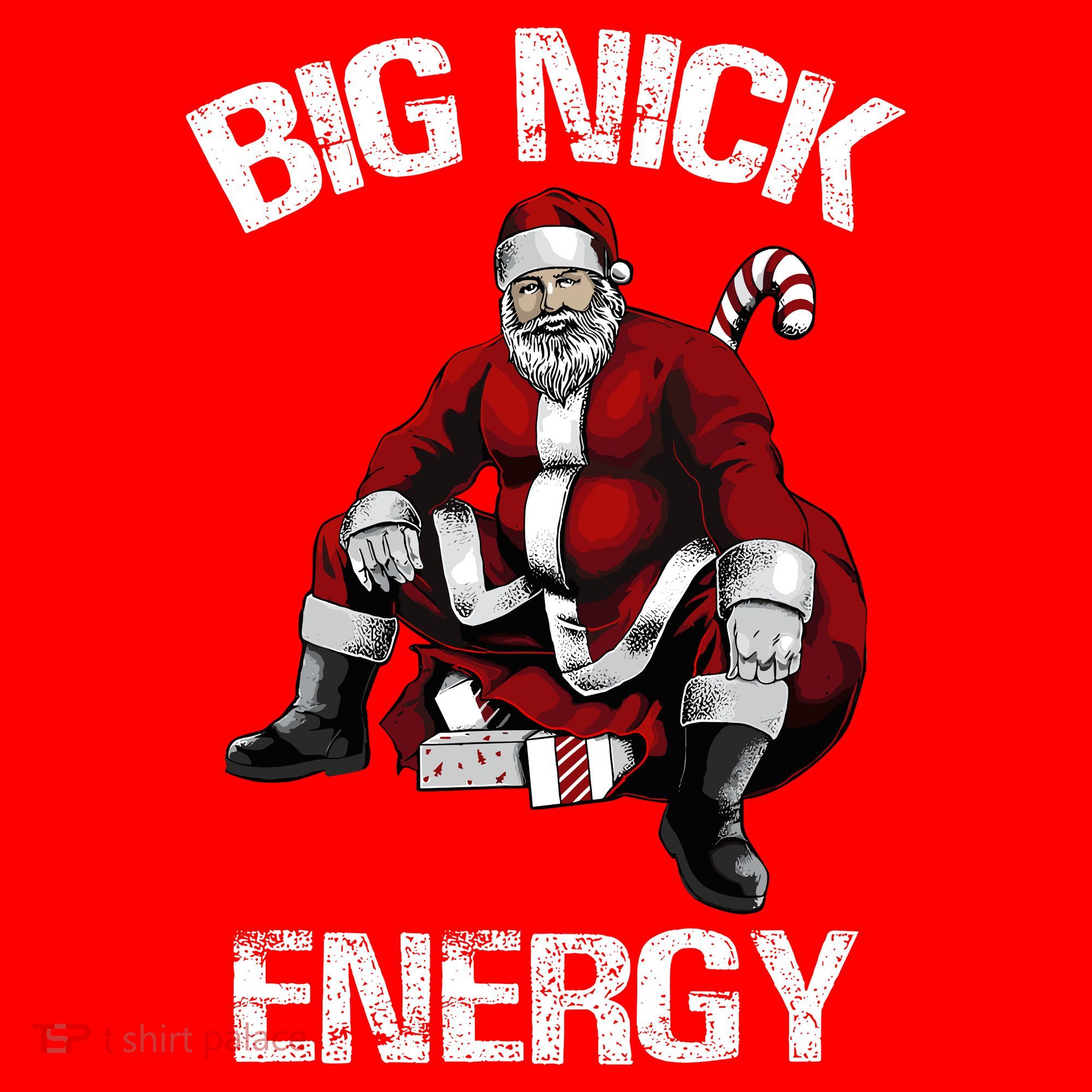 Big Nick Energy Funny Santa Christmas Santa Hat