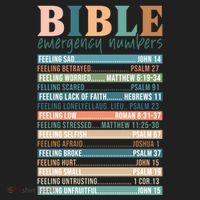 Bible Nutrition Emergency Numbers Beanie thumb 2