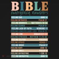 Bible Nutrition Emergency Numbers Toddler Hoodie thumb 2