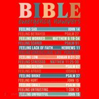 Bible Nutrition Emergency Numbers Santa Hat thumb 1
