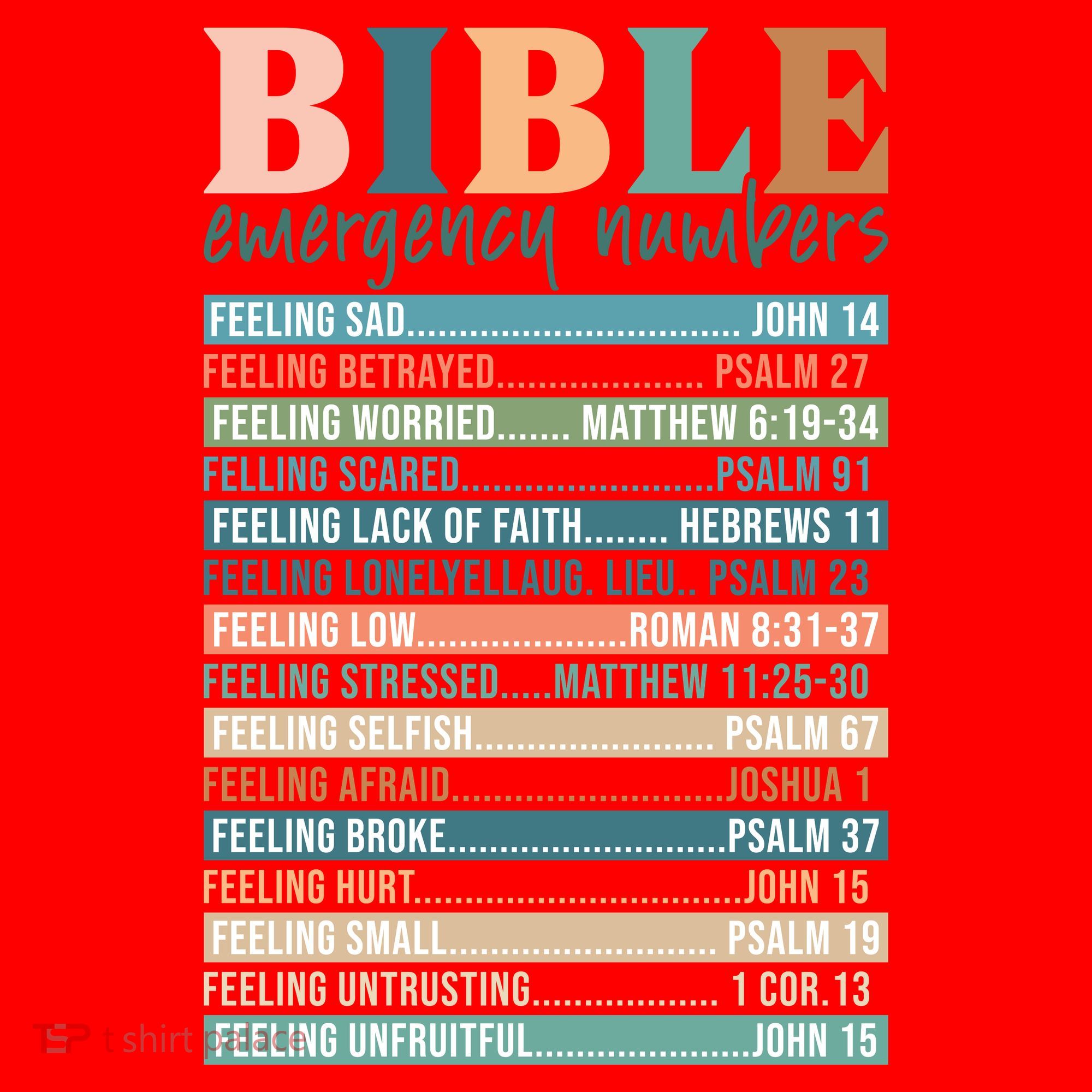 Bible Nutrition Emergency Numbers Santa Hat