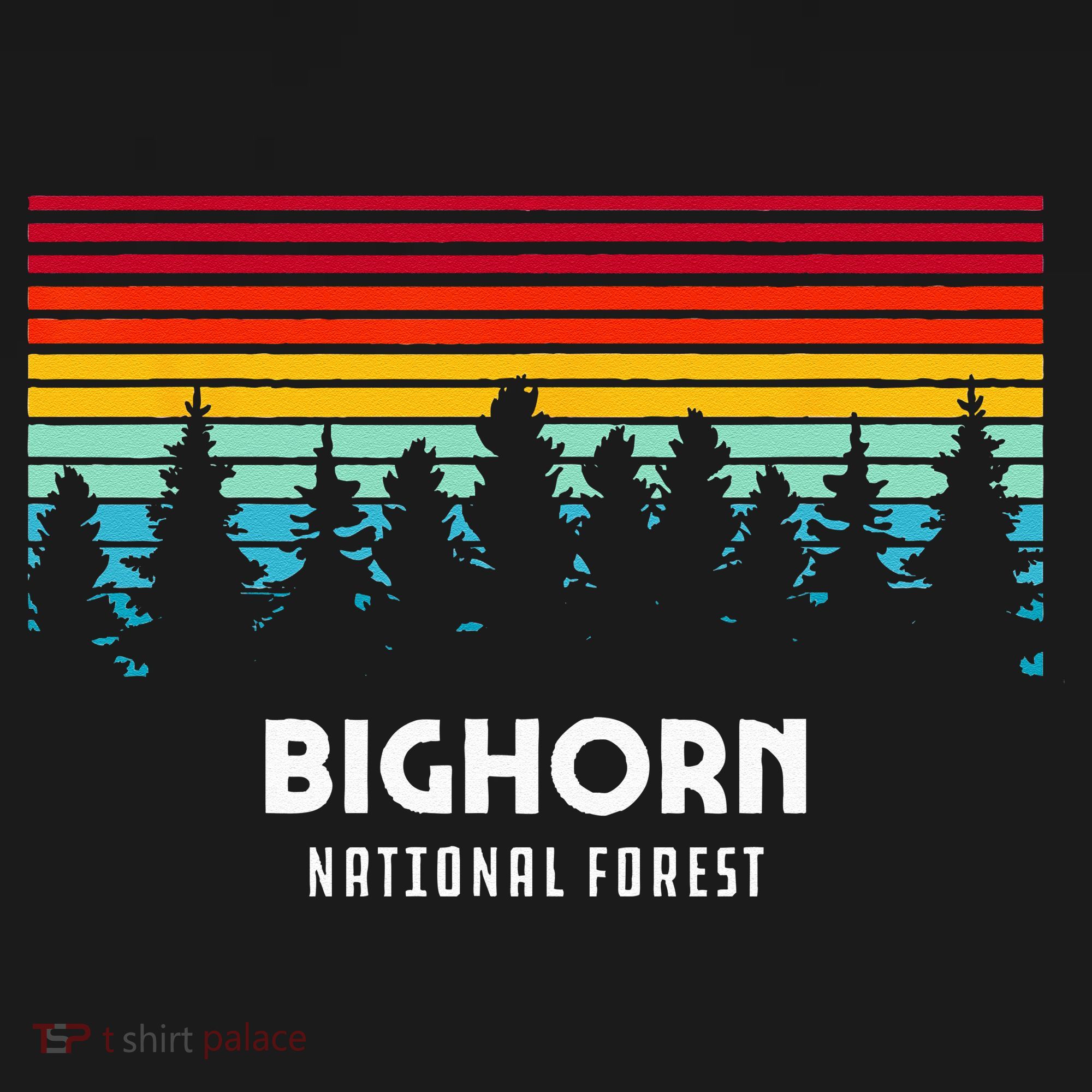 Bighorn National Forest Wyoming Retro Outdoor Adventure Women's Hoodie