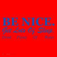 Be Nice Get Lots Of Sleep Drink Plenty Of Water Santa Hat thumb 1