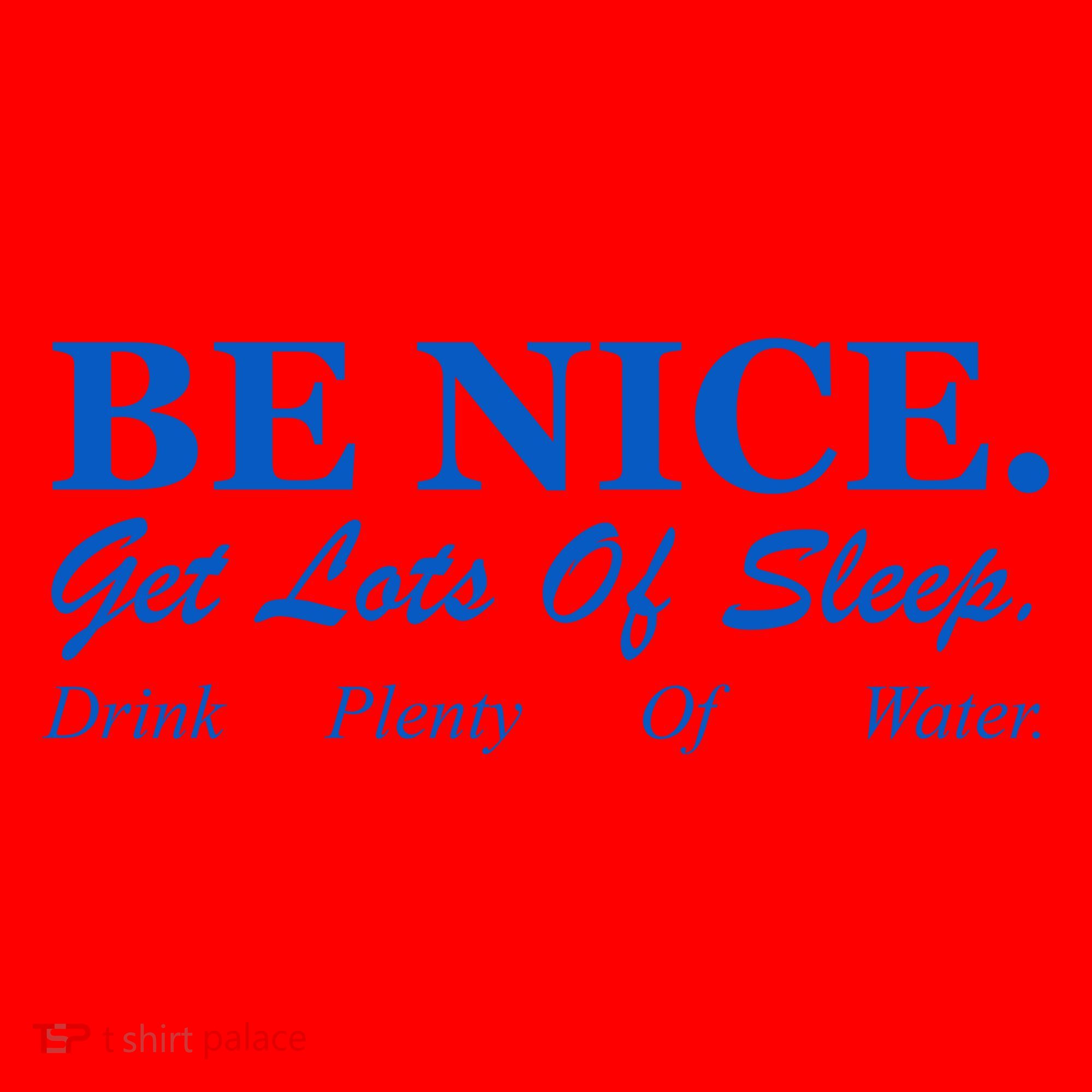Be Nice Get Lots Of Sleep Drink Plenty Of Water Santa Hat