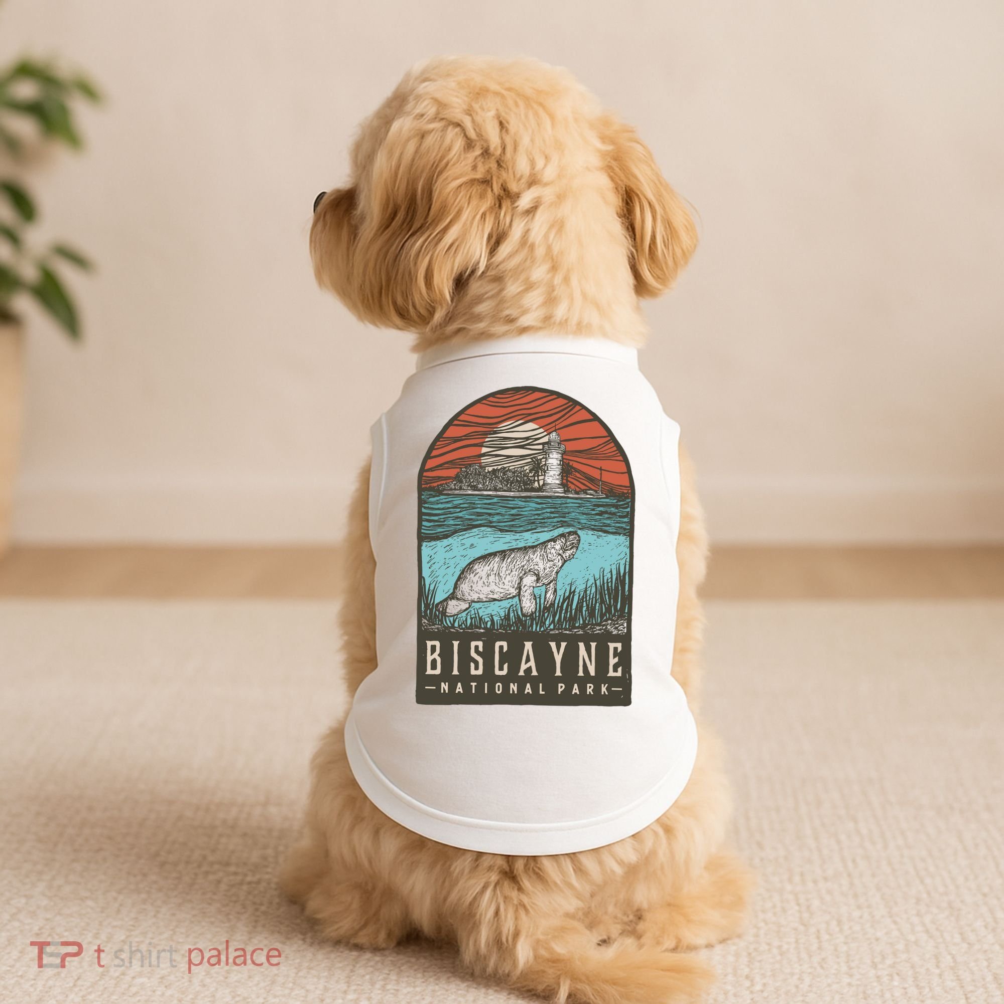 Biscayne National Park Doggie Tank