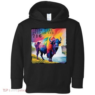 Buffalo Niagara Pride Toddler Hoodie