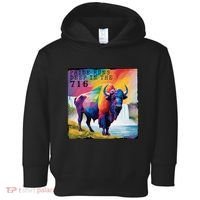 Buffalo Niagara Pride Toddler Hoodie thumb 0
