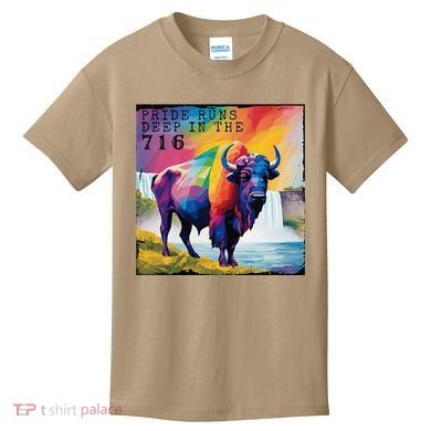 Buffalo Niagara Pride Kids T-Shirt