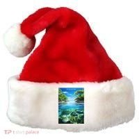 Biscayne National Park Photographic Santa Hat thumb 0