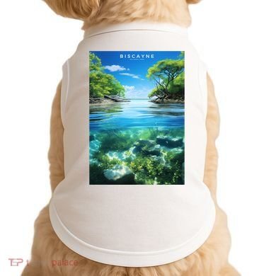 Biscayne National Park Photographic Doggie Tank
