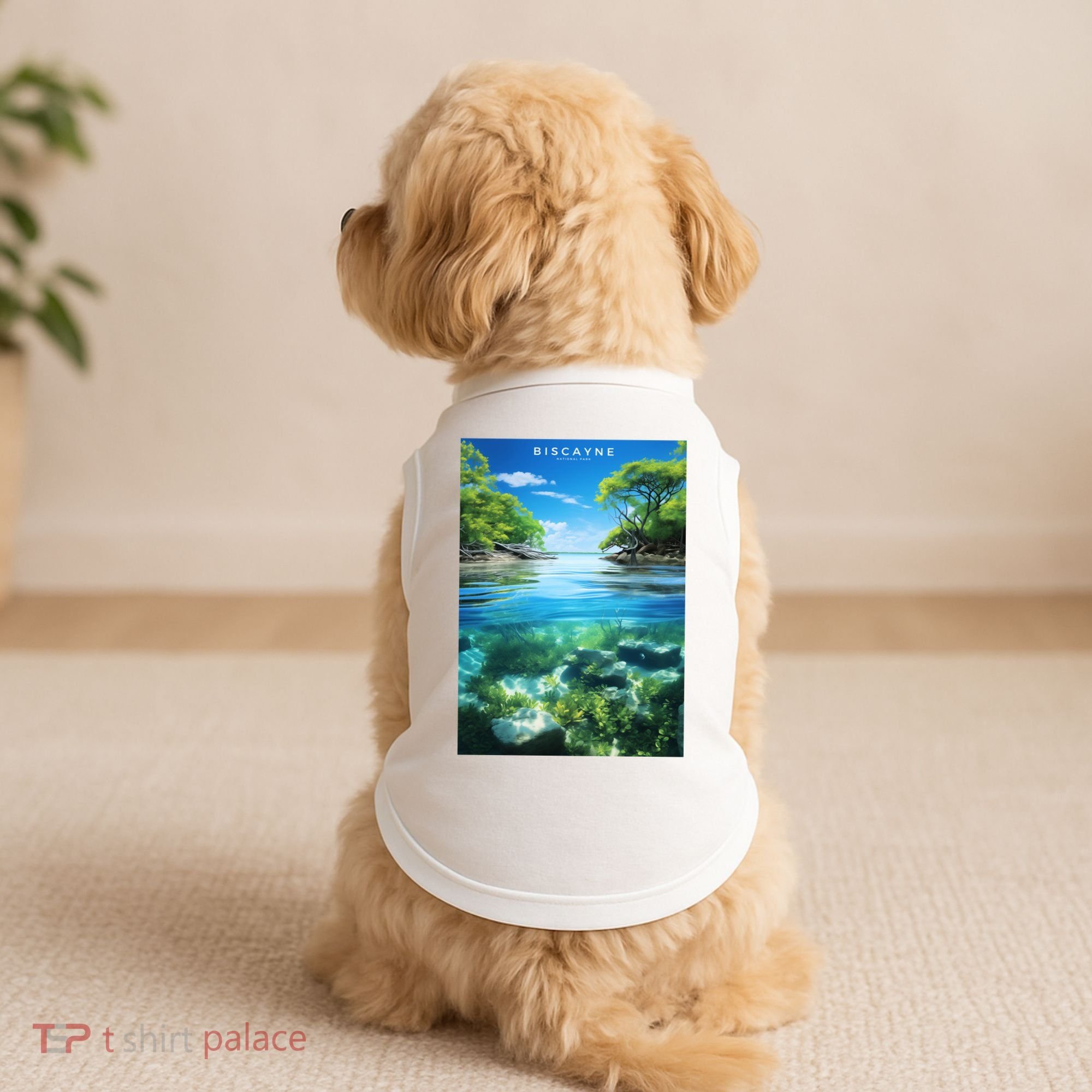 Biscayne National Park Photographic Doggie Tank