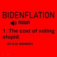 Bidenflation Noun The Cost Of Voting Stupid Santa Hat thumb 1