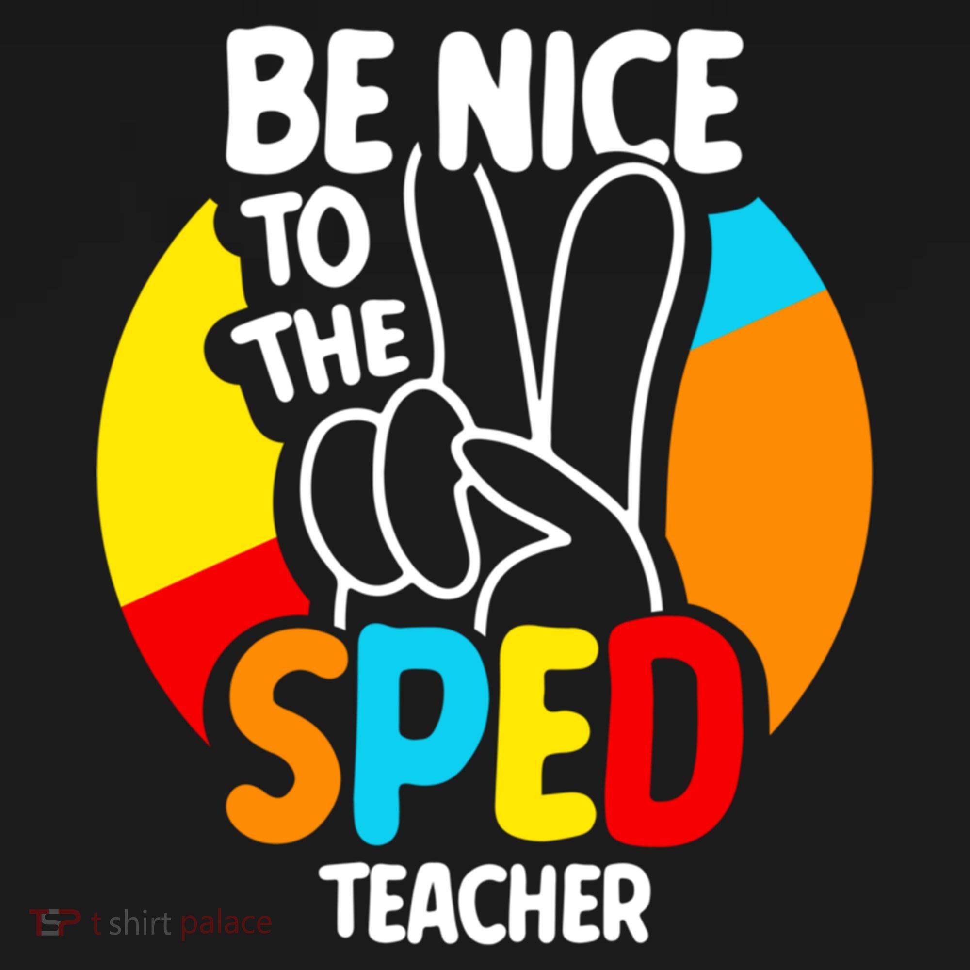 Be Nice To The Sped Teacher Awareness Special Education Cute Cool Gift Long Sleeve Shirt