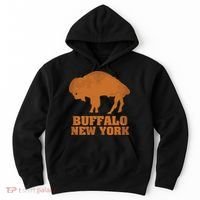 Buffalo New York Hoodie thumb 0