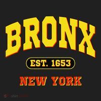 Bronx New York City Est. 1653 Classic Beanie thumb 2