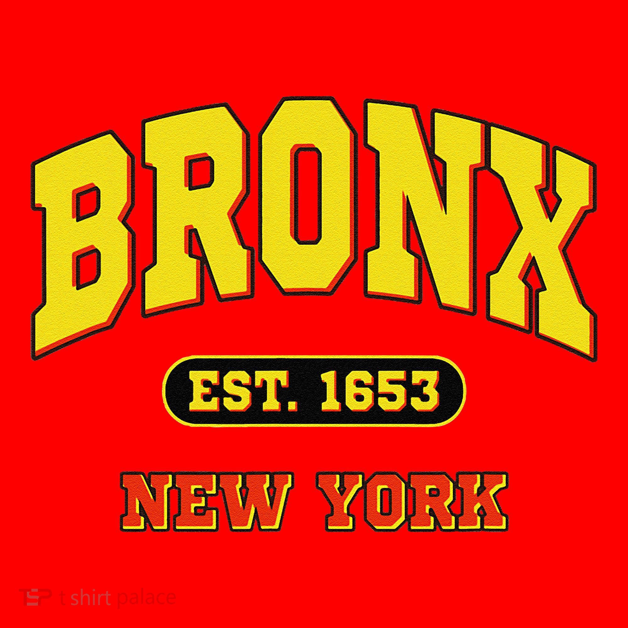 Bronx New York City Est. 1653 Classic Santa Hat