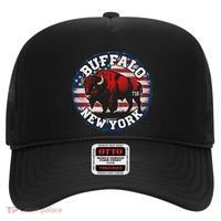 Buffalo New York 716 Area Code Bison Wny Bflo Pride Hat thumb 0