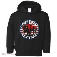 Buffalo New York 716 Area Code Bison Wny Bflo Pride Toddler Hoodie thumb 0