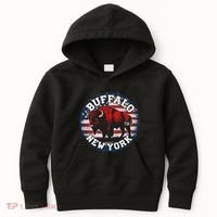 Buffalo New York 716 Area Code Bison Wny Bflo Pride Kids Hoodie thumb 0