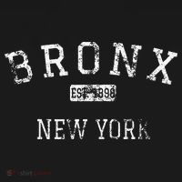 Bronx New York Ny T-Shirt thumb 7
