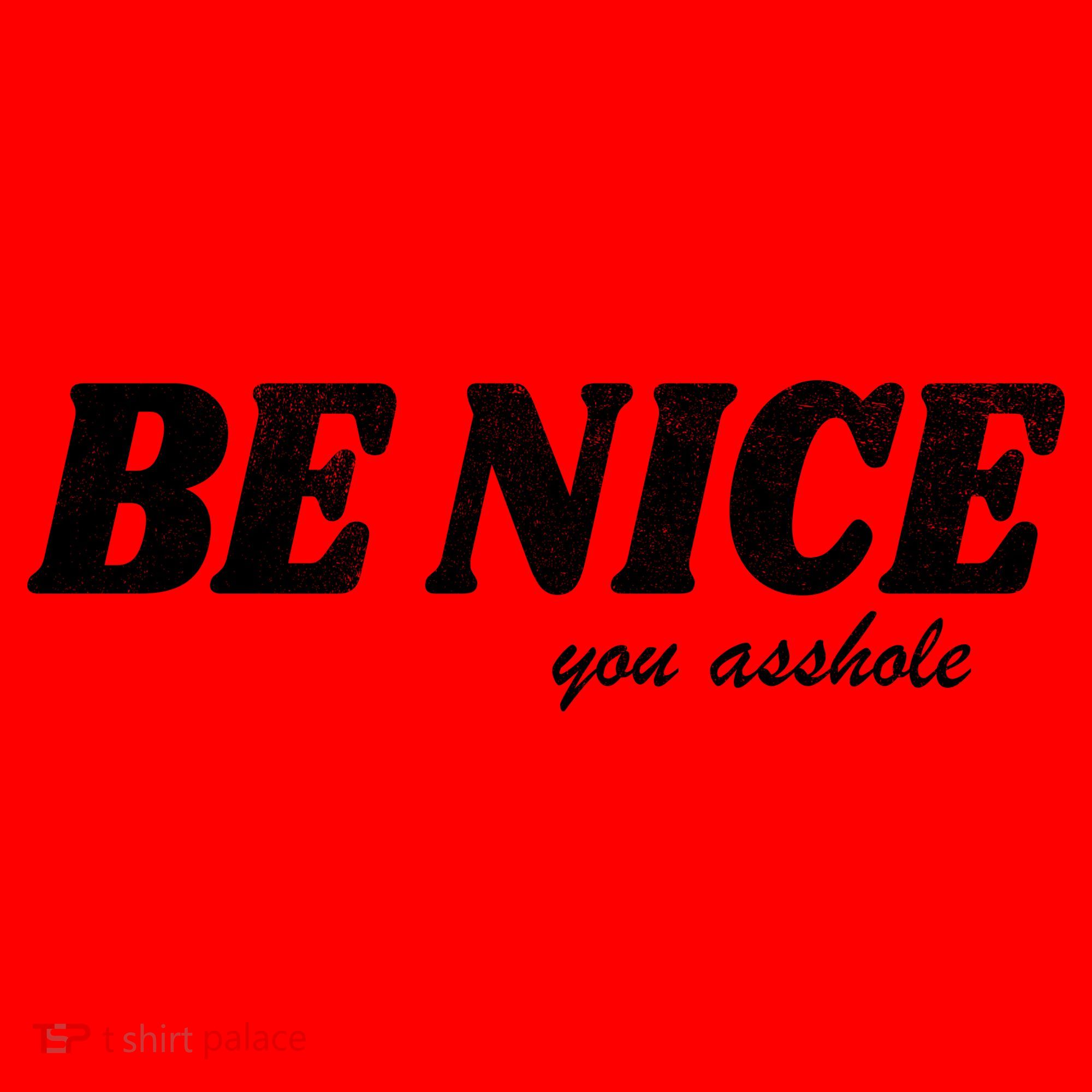 Be Nice You Asshole Funny Gift Santa Hat