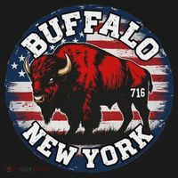 Buffalo New York 716 Area Code Bison Wny Bflo Pride Sweatshirt thumb 3