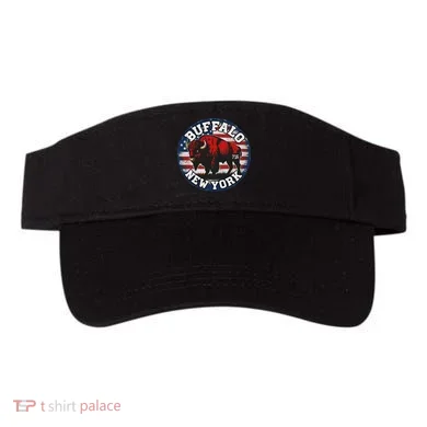 Visor