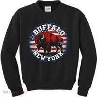 Buffalo New York 716 Area Code Bison Wny Bflo Pride Kids Sweatshirt thumb 0