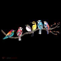 Birds On A Branch Birding Bird Watching Bird Watcher Women's Hoodie thumb 2