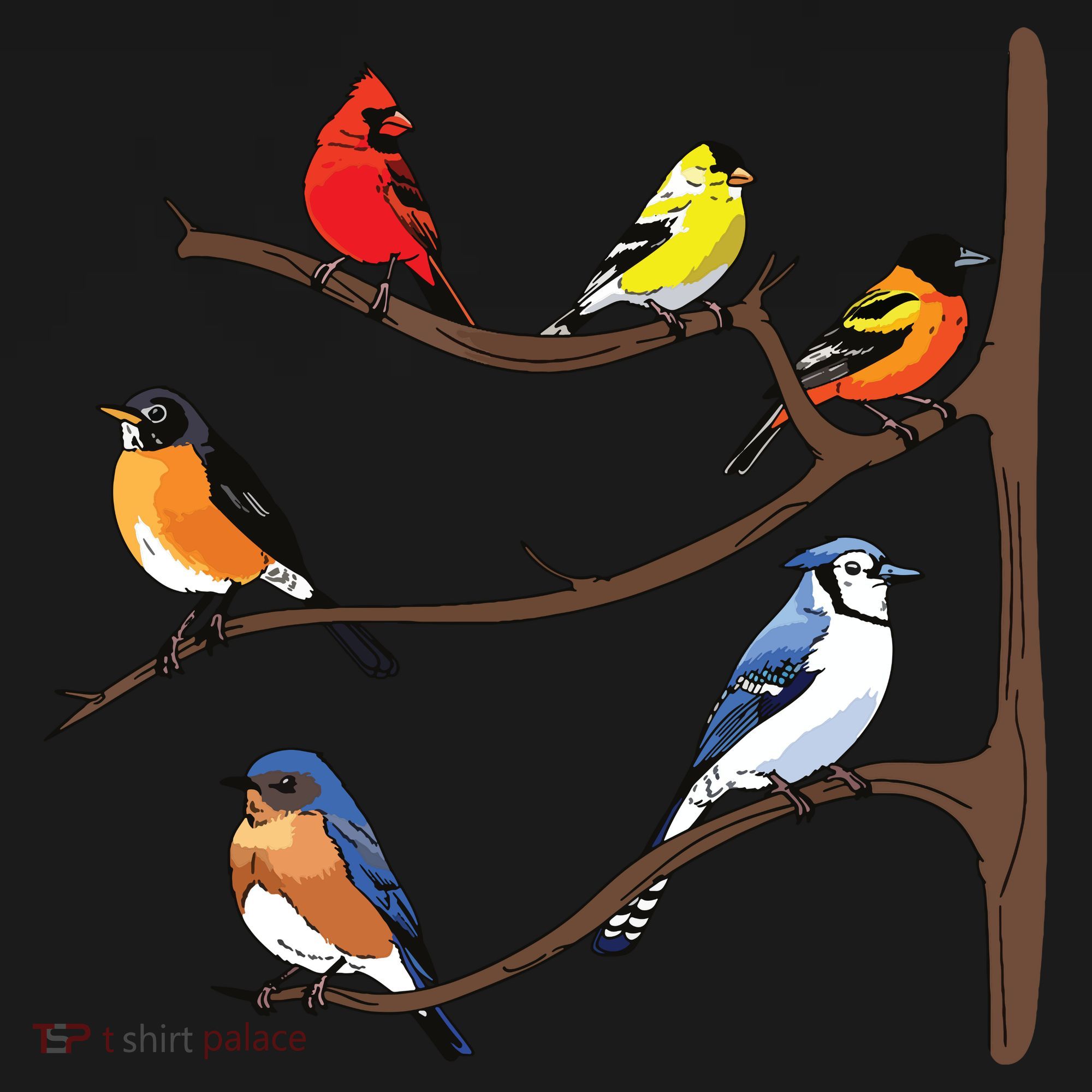 Birds On A Branch Birding Birdwatching Birder Bird Watcher Coaster
