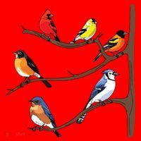 Birds On A Branch Birding Birdwatching Birder Bird Watcher Santa Hat thumb 1