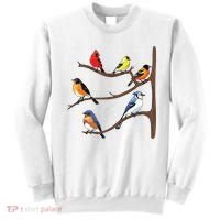 Birds On A Branch Birding Birdwatching Birder Bird Watcher Sweatshirt thumb 0