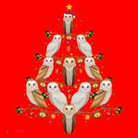 Barn Owl Bird Christmas Tree Gift Funny Christmas Barn Owl Gift Santa Hat thumb 1