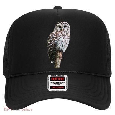 Barred Owl Bird Birder Birding Cute Owl Gift Hat