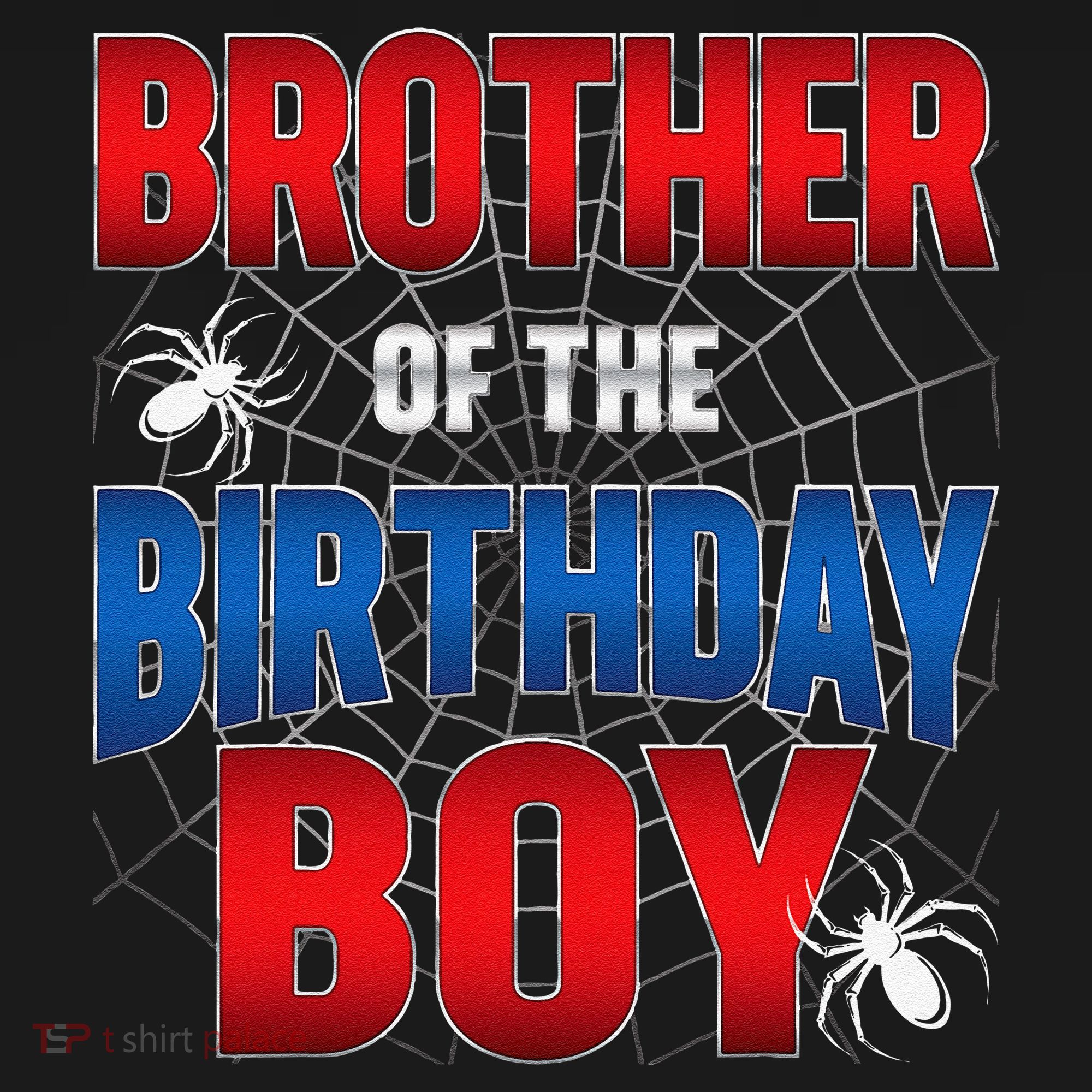 Brother Of Birthday Boy Costume Spider Web Birthday Party Ornament