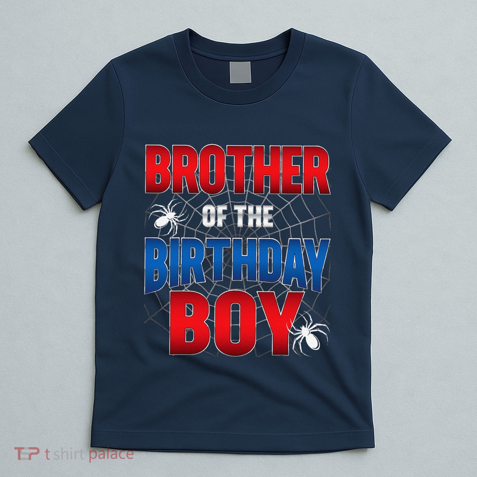 Brother Of Birthday Boy Costume Spider Web Birthday Party T-Shirt