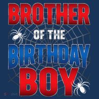 Brother Of Birthday Boy Costume Spider Web Birthday Party Women's Hoodie thumb 2