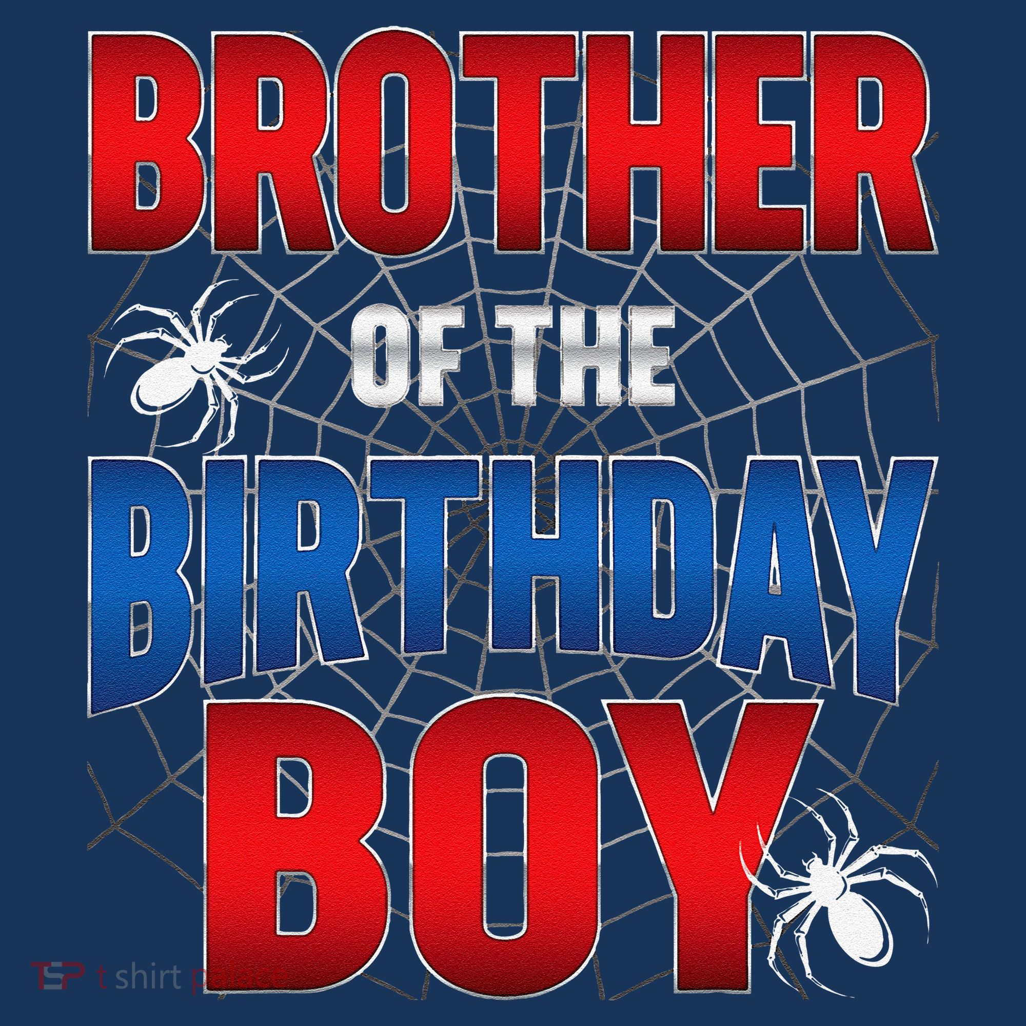 Brother Of Birthday Boy Costume Spider Web Birthday Party Women's Hoodie