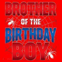 Brother Of Birthday Boy Costume Spider Web Birthday Party Santa Hat thumb 1