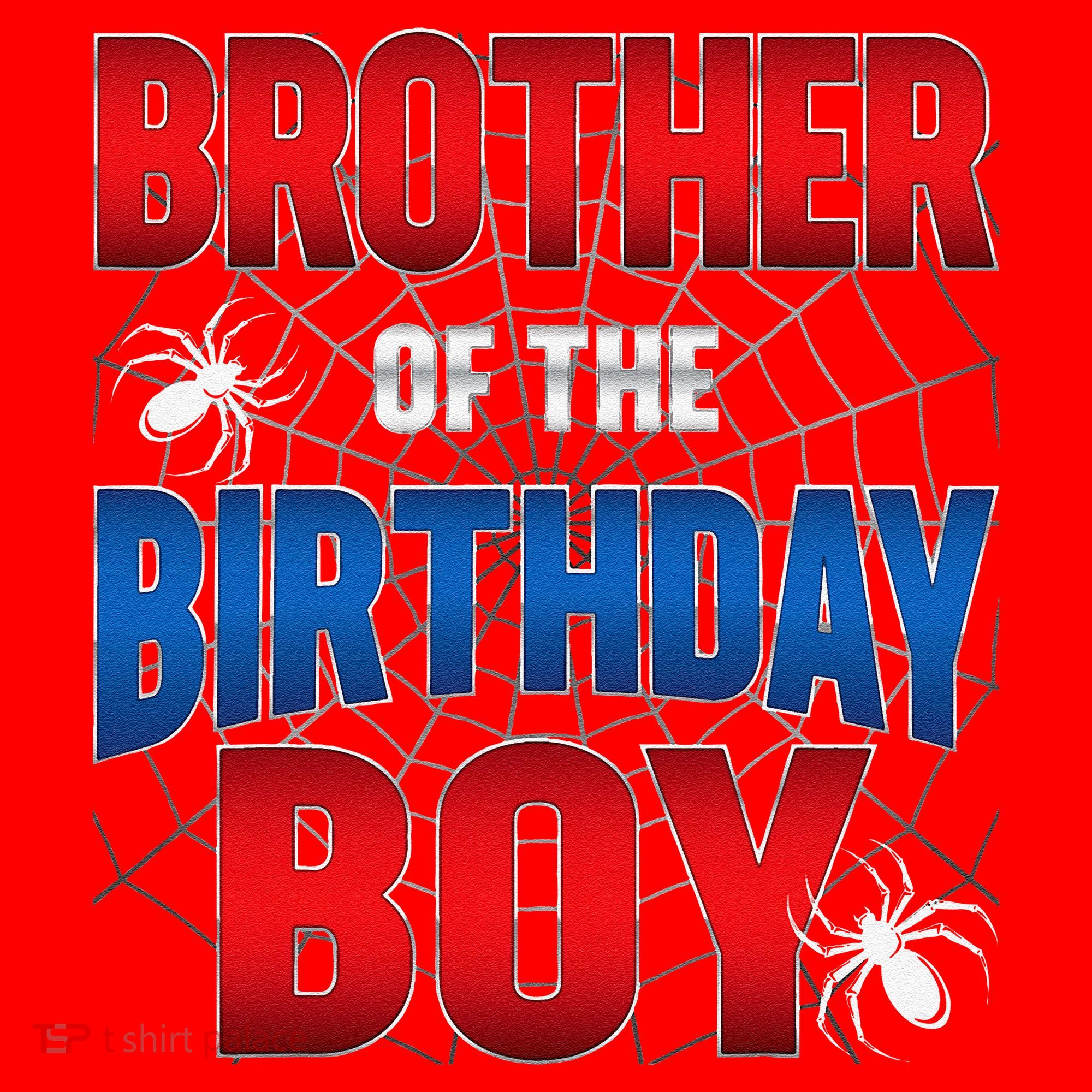 Brother Of Birthday Boy Costume Spider Web Birthday Party Santa Hat