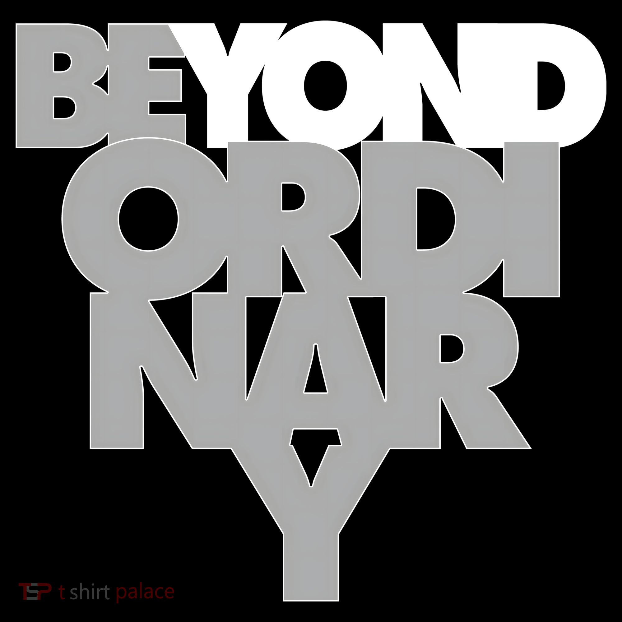 Beyond Ordinary Coaster